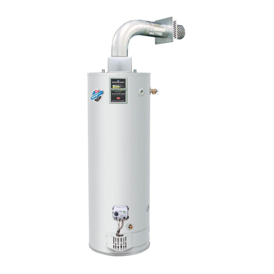 Bradford White / RG240S6N / 40 Gal